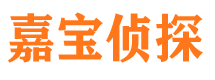 大田私人调查